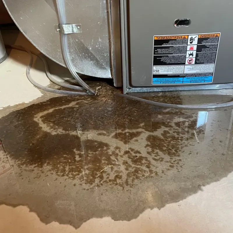 Pipe Burst and Leak Restoration in South Nyack, NY